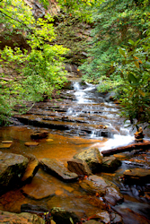 Cascades